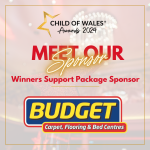 Budget Carpets: Our Winners Support Package Sponsors